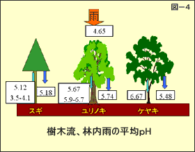 樹木流、林内雨の平均ｐH